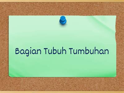 Bagian Tubuh Tumbuhan FASE B IPAS SD 