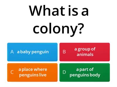 National Geographic Penguins