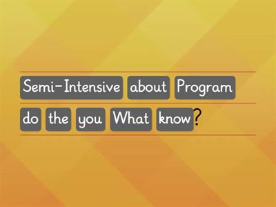 Questions about your Semi - Intensive Program