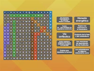 Metabolismo celular