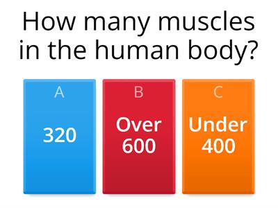 Weight Training Quiz