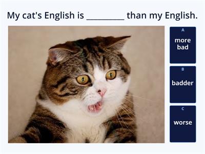 SO A2 U7.1 Comparatives