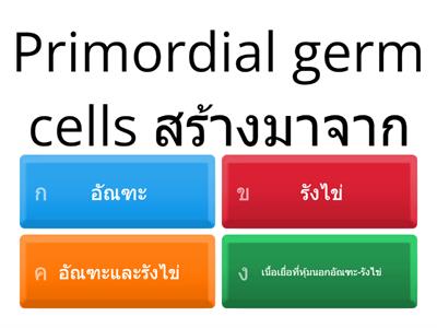  แบบทดสอบหลังเรียน  เรื่อง ระบบสืบพันธุ์ของมนุษย์