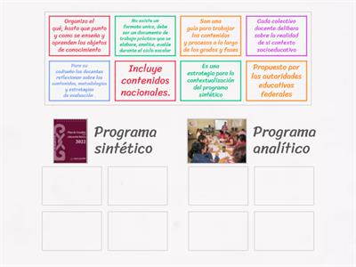 Programas sintéticos y analíticos del Plan de estudios (Lic. Areli Casillas)