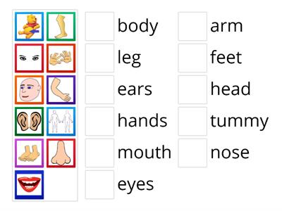 Body parts  - unit 6