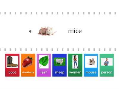 Plural nouns