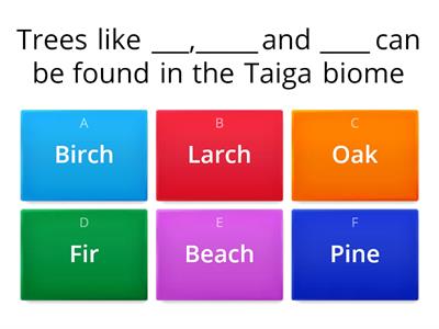 taiga trees quiz