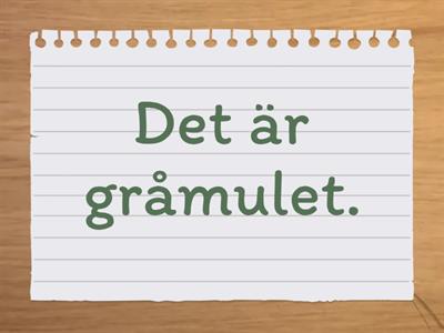 Quel temps fait-il? Vad är det för väder?