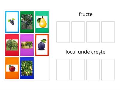 Umbre fructe - Resurse didactice