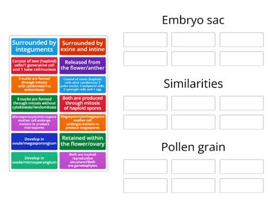 Compare between pollen grain and embryo sac of angiosperms