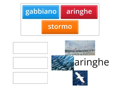 la gabbianella e il gatto nuovi termini 