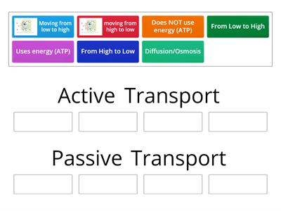 Active vs. Passive Transport Sort
