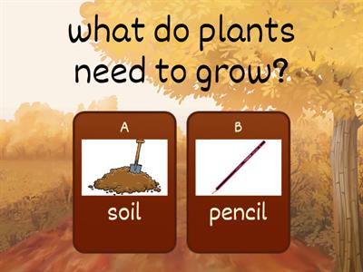   plant needs& plants parts