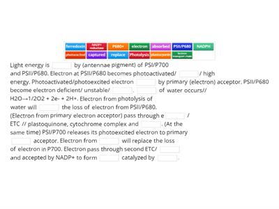 Describe the flow of electrons in non-cyclic photophosphorylation.