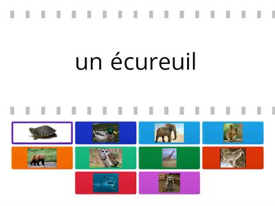 les animaux sauvages