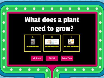 Plant Life Cycle