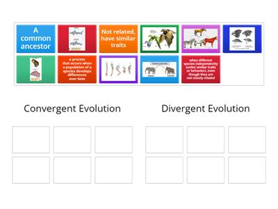 Convergent Vs Divergent Evolution