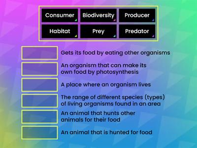 Biodiversity and Food Web Key Terms 