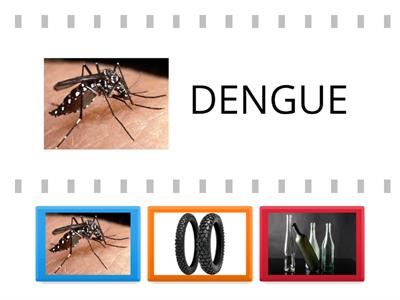 DENGUE 