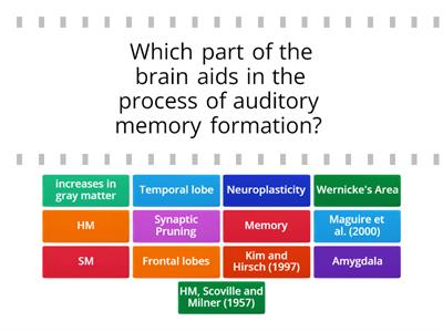 Brain localization and Neuroplacticity 