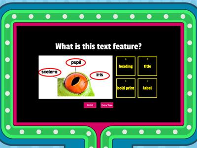 Text Features gameshow 