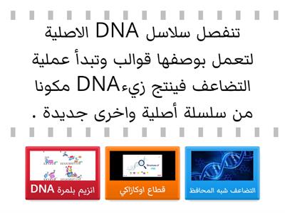  تضاعف DNA