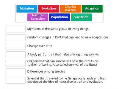 Evolution & Natural Selection