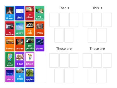 Demonstratives