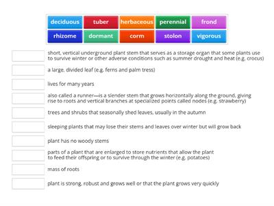 Plant propagataion by division: Match the words to their correct meaning