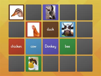 Farm animals (matching pairs) - Catch Grade 1 Unit 3