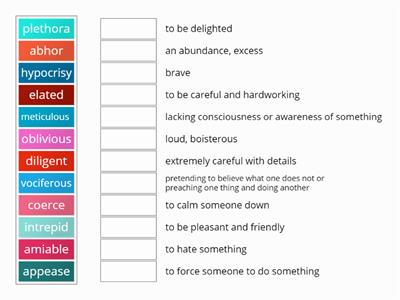 Ambitious vocabulary match up