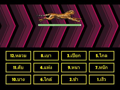 เกมหาคู่ (คำวิเศษณ์) level 2