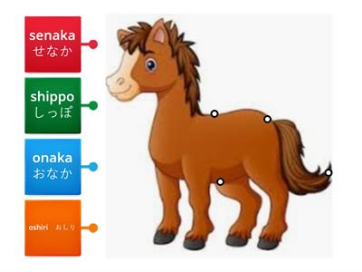 Horse Diagram for Labelling Body Parts