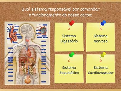 Sistema Nervoso