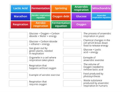 Respiration key terms quiz