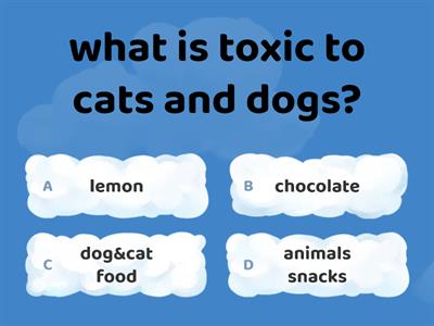 Cat&Dog owner quiz