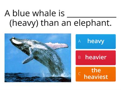 Comparison of adjectives 