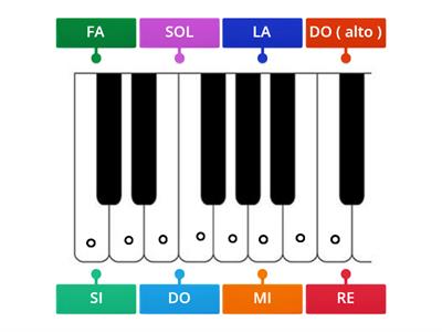 MUSICA:  individua le note sulla tastiera