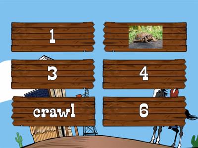 Animal Actions Matching (crawl, jump, fly, run, gallop, swim)