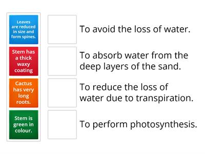 Adaptations of a CACTUS