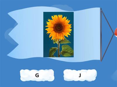 Clasifica las imágenes según se escriban con G o J