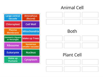Andrews Animal vs. Plant Cell Sort