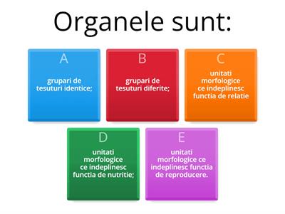 ALCATUIREA CORPULUI UMAN ; TOPOGRAFIA ORGANELOR SI SISTEMELOR DE ORGANE