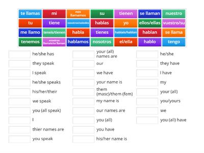 Verbs and pronouns 