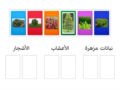 تصنيف النباتات