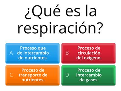 Respiración en plantas