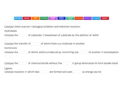 Describe enzyme classification according to the International Union of Biochemistry (IUB).