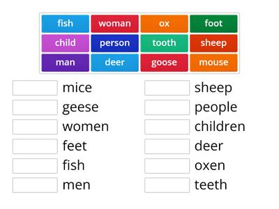 Irregular Singular and Plural Nouns