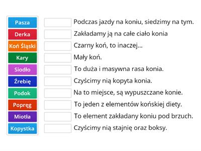 Test - Jazda Konna!