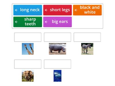 Animals body parts - adjectives